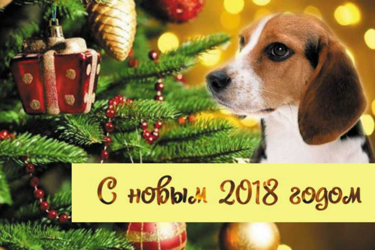 Картинки новым годом 2018 фото 16